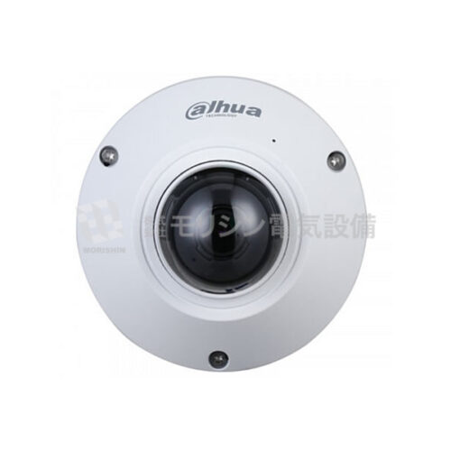 DH-IP09A　│　DH-IPC-EB5541N-AS
