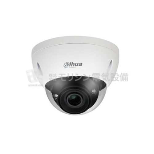 DH-IP32　│　DH-IPC-HDBW5541EN-ZE